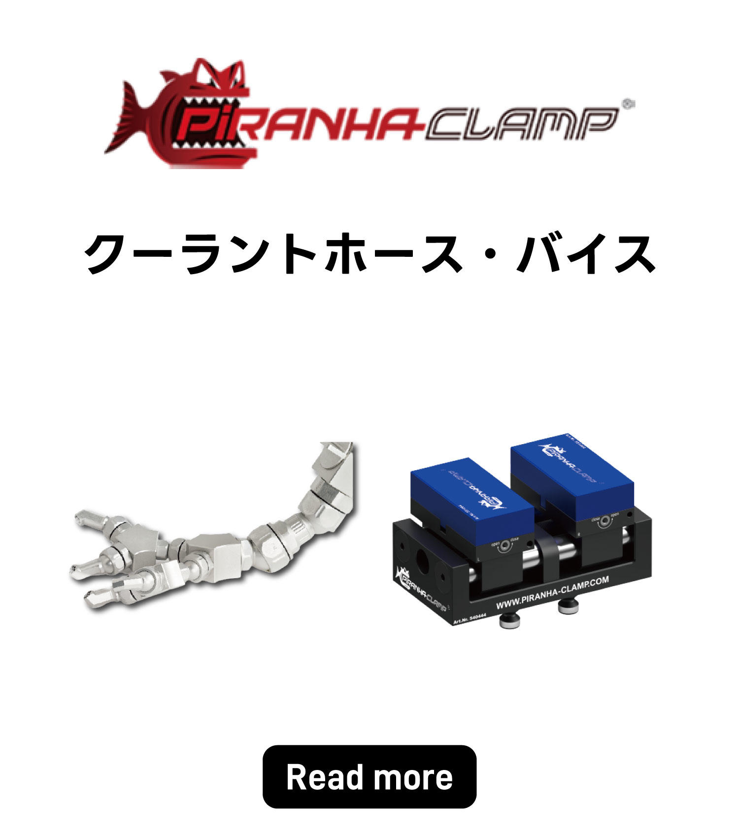 15_PIRANHA.jpg